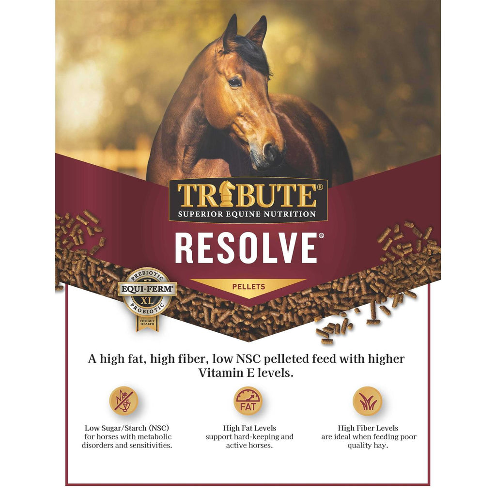 Horse Feed I468