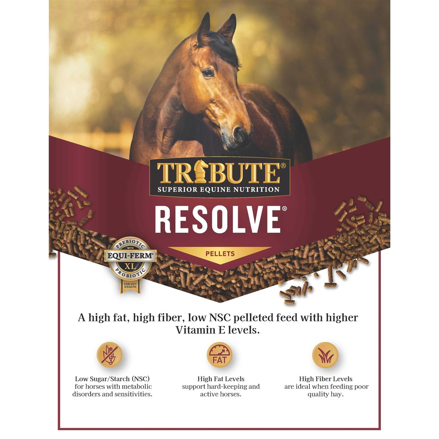 Horse Feed I468