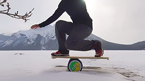Original Training Package Balance Board with Deck, Roller, Cushion and Exercise Poster A185806