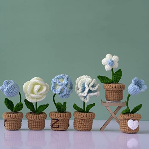 6 Pcs Crochet Kit (Blue) F194257