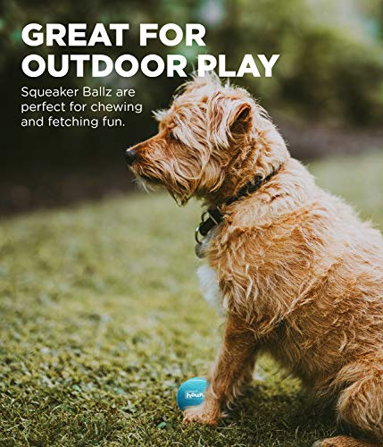 Dog Tennis Ball Launcher Z512350
