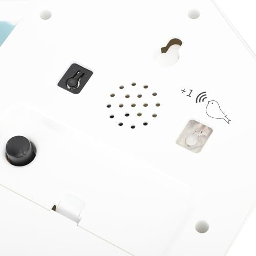 Bird Voice Call Wall Clock with Pendulum S820
