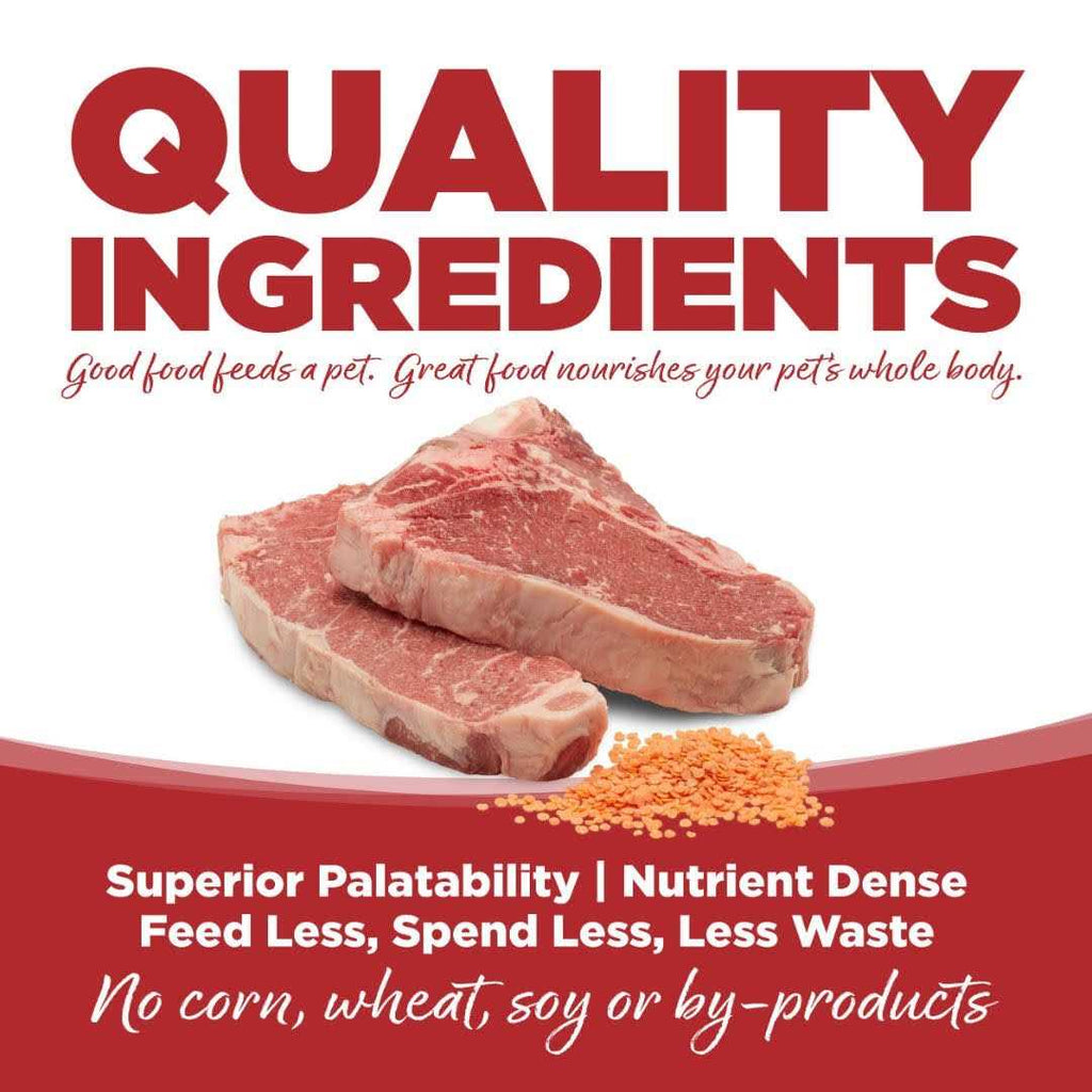 Beef & Red Lentils Grain Free Dry Dog Food G529110