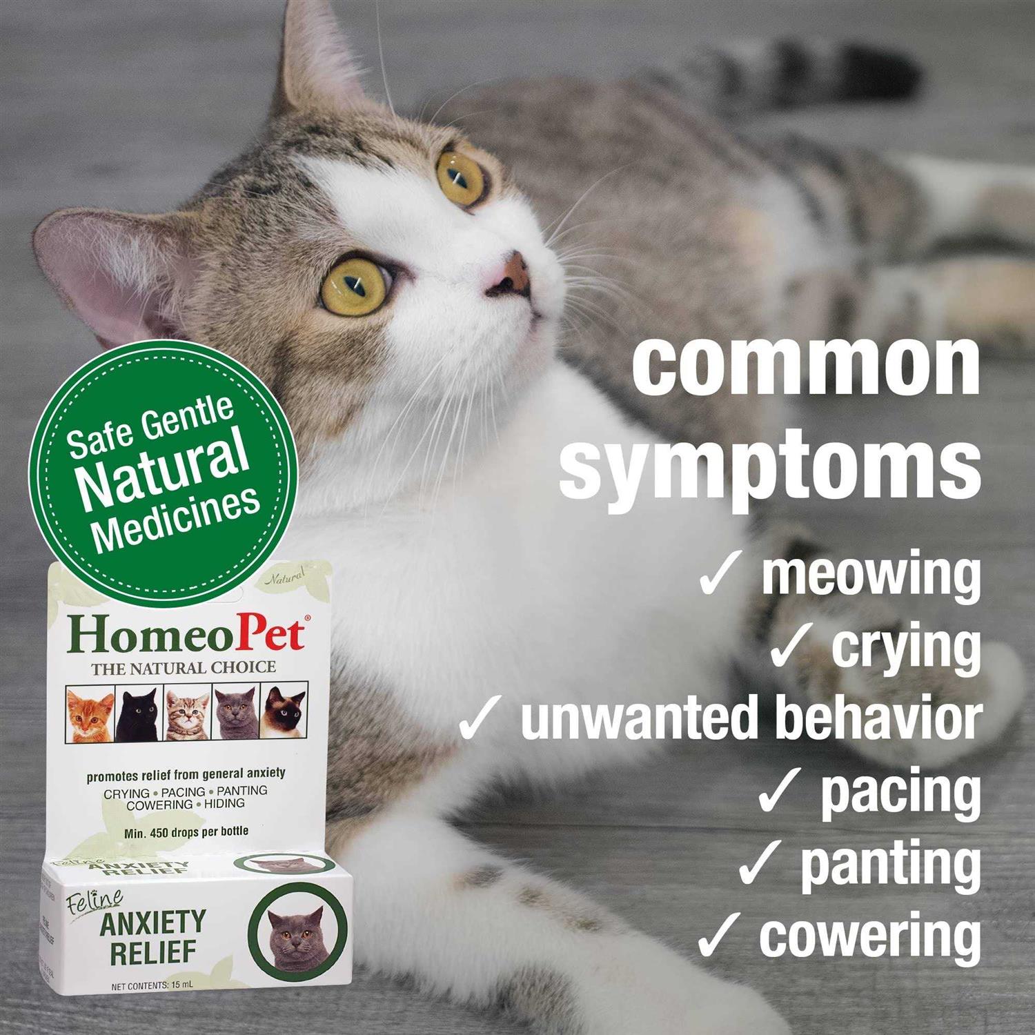 Feline Anxiety Relief O27878