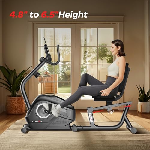 Recumbent Exercise Bike with Adjustable Seat and 16-Level Magnetic Resistance V5307