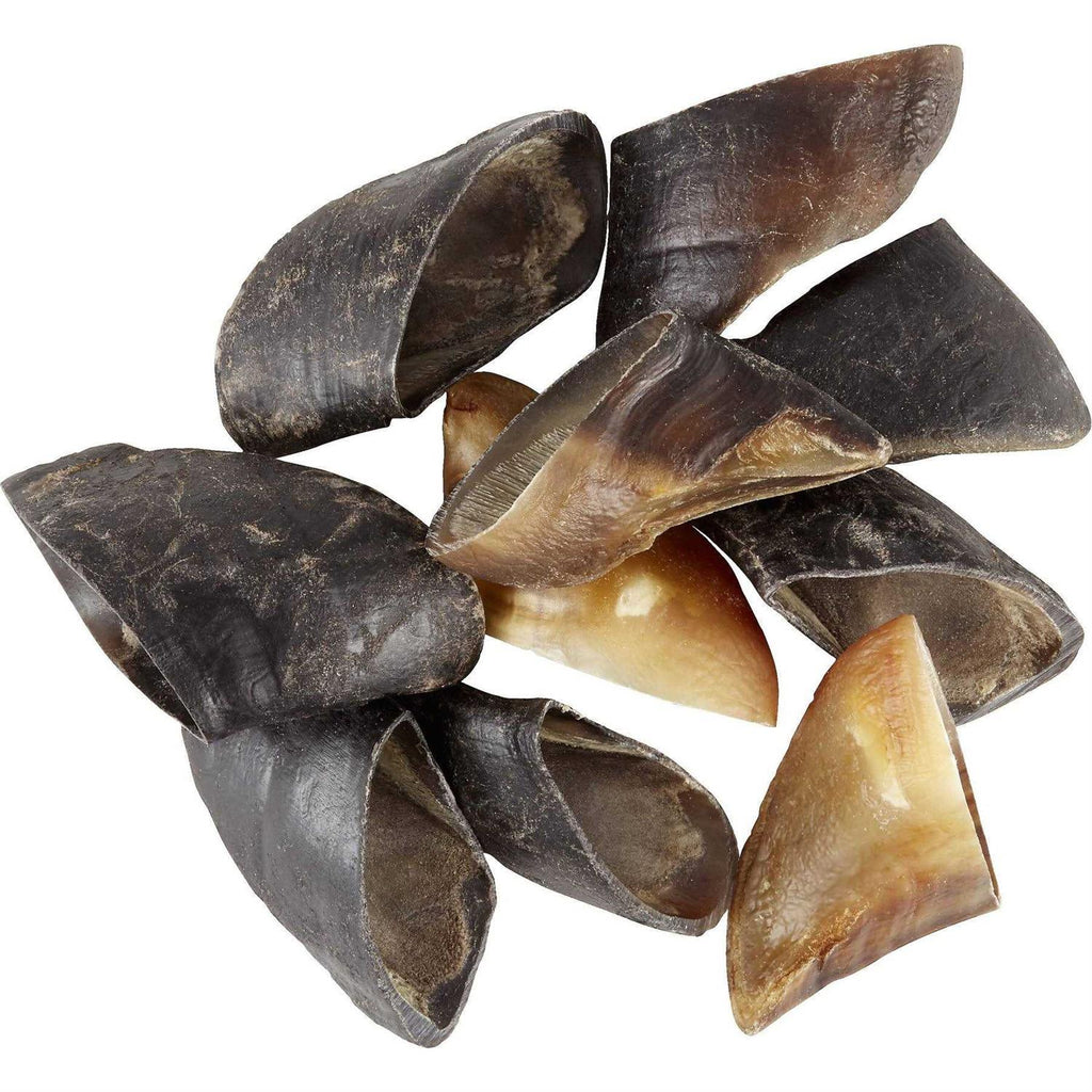 Cow Hooves B133231