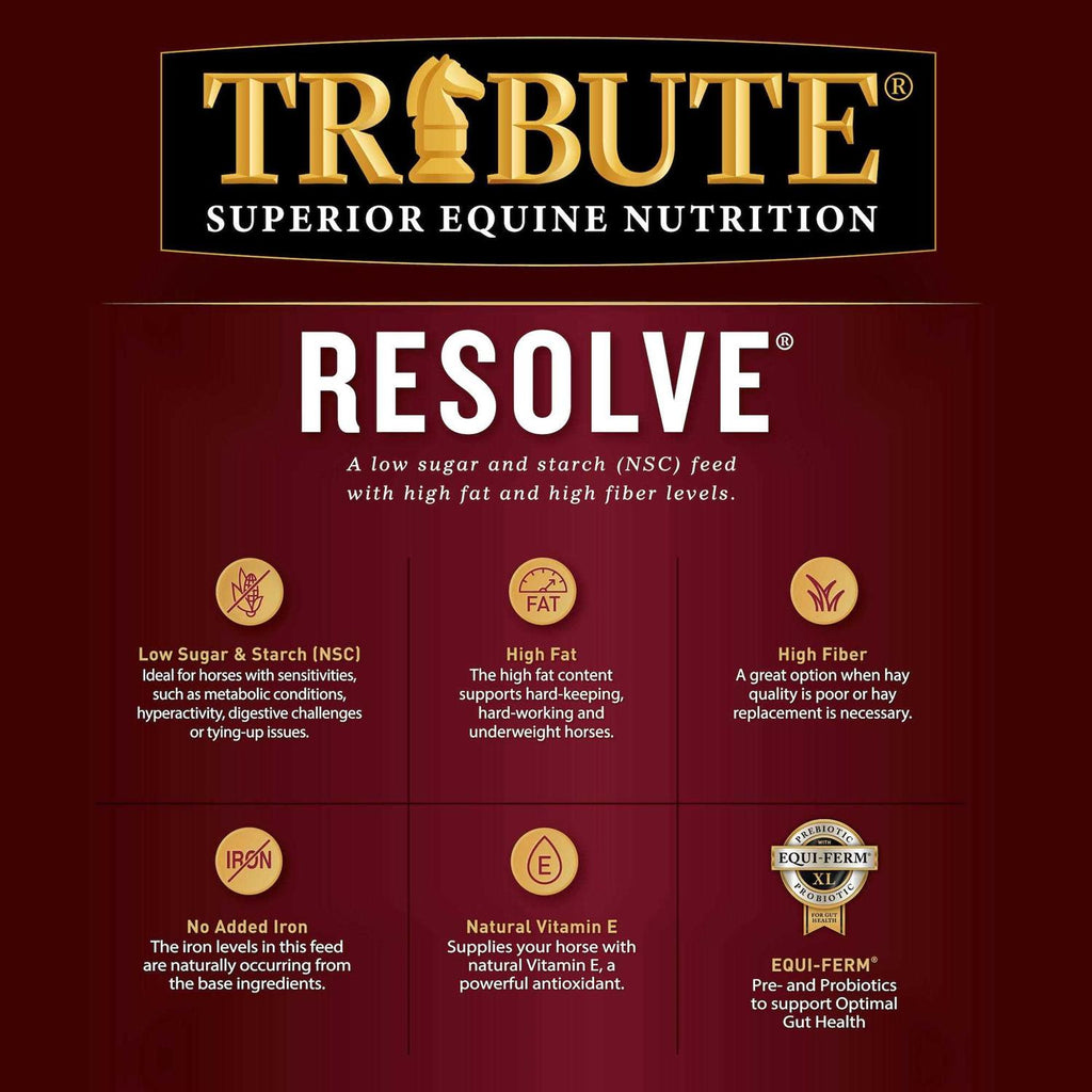 Horse Feed I468